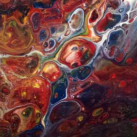 Primate Astronaut Albert