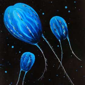 Impossibly Imaginary