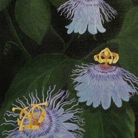 Partita (Passion Flowers)