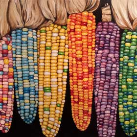 Zea Mays, Glass Gem Corn
